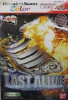 Pochette Last Alive