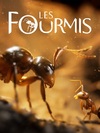 Pochette Les Fourmis