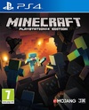 Pochette Minecraft