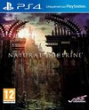 Pochette Natural Doctrine
