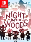 Pochette Night in the Woods