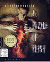 Pochette Phantasmagoria : A Puzzle of Flesh