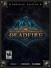 Pochette Pillars of Eternity 2 : Deadfire