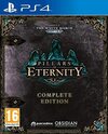 Pochette Pillars of Eternity