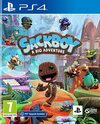 Pochette Sackboy : A Big Adventure