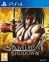 Pochette Samurai Shodown