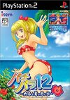 Pochette Sanyo Pachinko Paradise 12