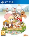 Pochette Story of Seasons : Friends of Mineral Town