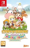 Pochette Story of Seasons : Friends of Mineral Town