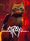 Pochette Stray