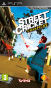 Pochette Street Cricket Champions