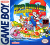 Pochette Super Mario Land 2