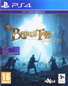 Pochette The Bard's Tale IV : Director's Cut