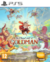 Pochette The Eternal Life of Goldman