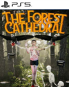 Pochette The Forest Cathedral