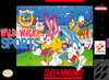 Pochette Tiny Toon Adventures : Wild & Wacky Sports