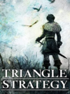 Pochette Triangle Strategy