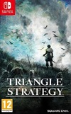 Pochette Triangle Strategy