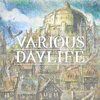 Pochette Various Daylife