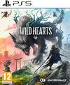 Pochette Wild Hearts