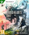 Pochette Wild Hearts