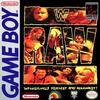 Pochette WWF Raw