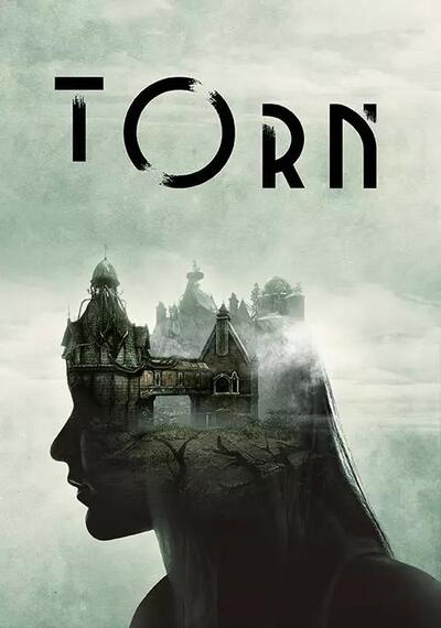 Pochette Torn version PC Windows