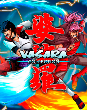 Pochette VASARA Collection version PC Windows