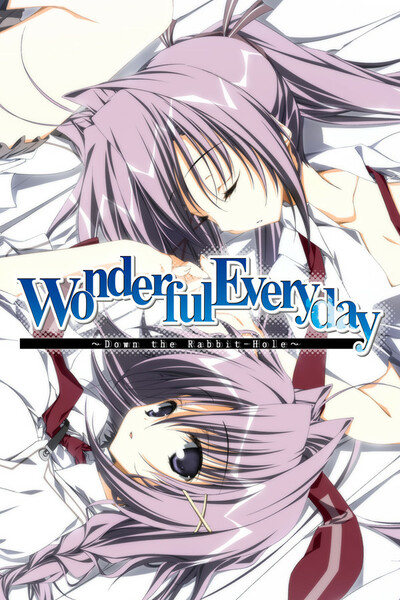 Pochette Wonderful Everyday version PC Windows